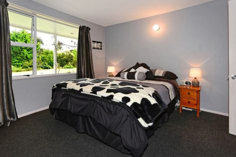 Photo of property in 291 Karanga Road, Dunsandel, Leeston, 7682