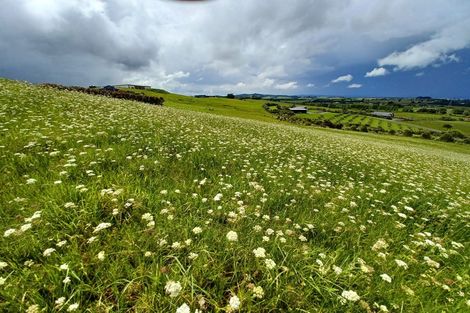 Photo of property in 211 Sandford Road, Ruakaka, Whangarei, 0171