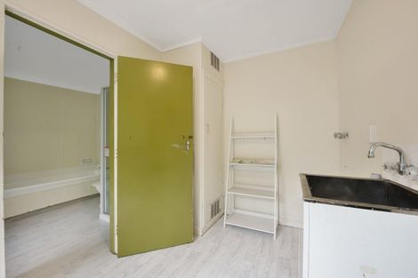 Photo of property in 17 Essex Street, Aro Valley, Wellington, 6021