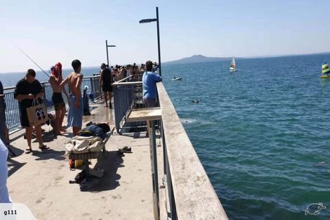 Photo of property in 3/2 Scarboro Terrace, Murrays Bay, Auckland, 0630