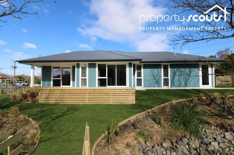 Photo of property in 42 Glenelg Street, Bradford, Dunedin, 9011