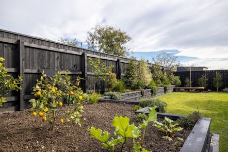 Photo of property in 14 Boysenberry Grove, Richmond, 7020