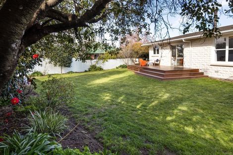 Photo of property in 11 Litchfield Street, Redwoodtown, Blenheim, 7201