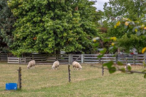 Photo of property in 107 Pembroke Street, Carterton, 5713