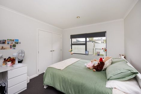 Photo of property in 12a Conway Place, Terrace End, Palmerston North, 4410