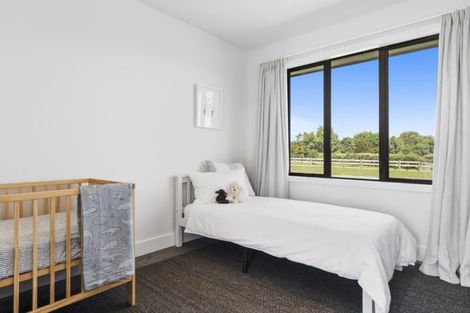 Photo of property in 423b Youngson Road, Whakamarama, Tauranga, 3179