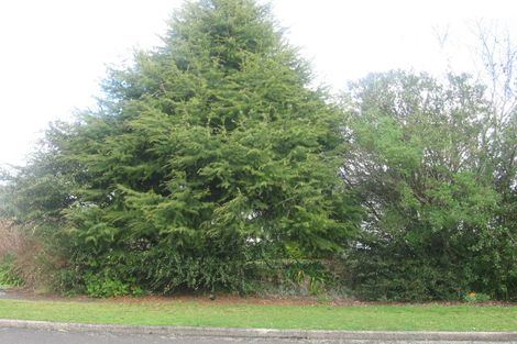 Photo of property in 75 William Jones Drive, Otangarei, Whangarei, 0112