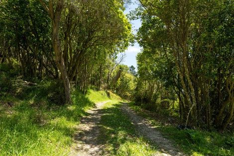 Photo of property in 565 Anakoha Road, Anakoha, Marlborough Sounds, 7284