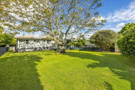 Photo of property in 14 Snell Avenue, Papakura, 2110