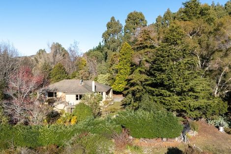 Photo of property in 249 Scotland Street, Roxburgh, 9500