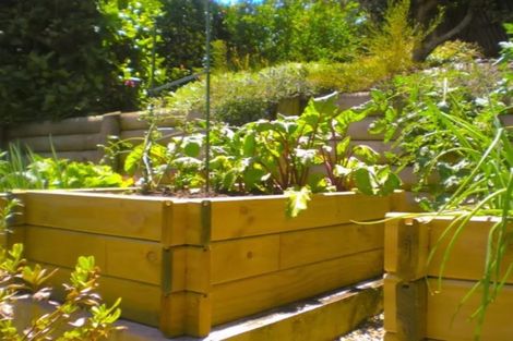 Photo of property in 104 Logan Place, Thames, 3500