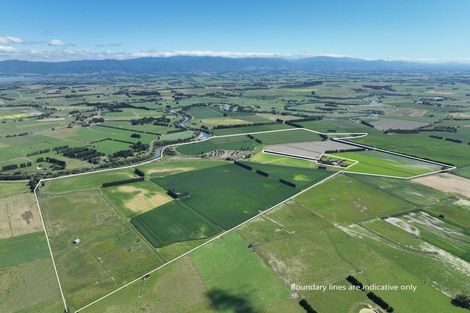 Photo of property in 247 Mahaki Road, Dyerville, Martinborough, 5781