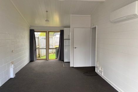 Photo of property in 13 Albert Street, Hamilton East, Hamilton, 3216