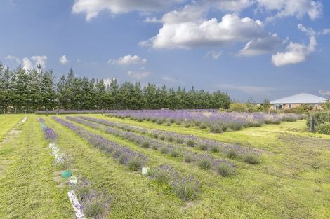 Photo of property in 672 Depot Road, Burnt Hill, Oxford, 7495