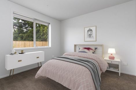 Photo of property in 2/41 Ross Crescent, Fairfield, Hamilton, 3214