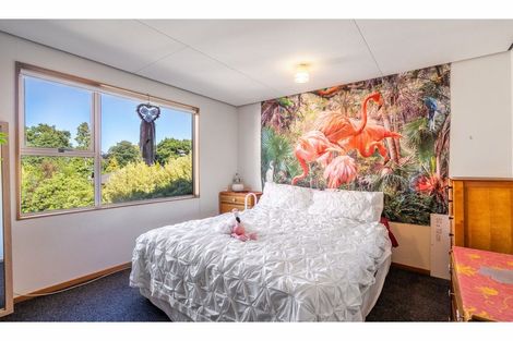 Photo of property in 3d William Street, Gore, 9710