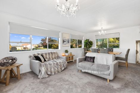 Photo of property in 351a Thames Street, Morrinsville, 3300