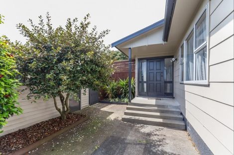 Photo of property in 25 Strathmore Avenue, Levin, 5510