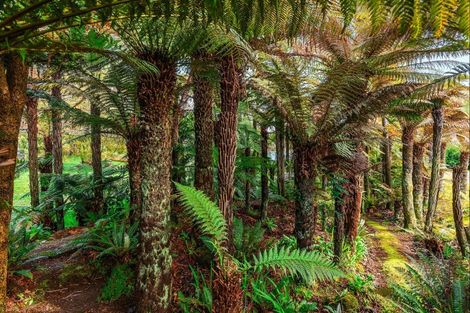 Photo of property in 137 Otapouri Road, Owhango, 3989