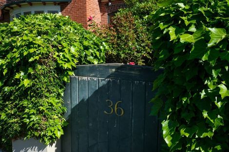 Photo of property in 36 Sandringham Street, Saint Clair, Dunedin, 9012