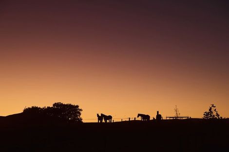 Photo of property in 1549 Raukawa Road, Raukawa, Hastings, 4174