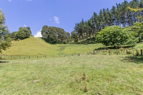 Photo of property in 822 Motukawa Road, Tarata, Inglewood, 4387