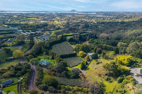 Photo of property in 93 Te Puna Quarry Road, Minden, Tauranga, 3179
