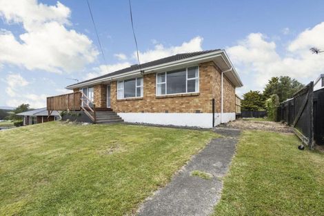 Photo of property in 15 Sholson Street, Putaruru, 3411