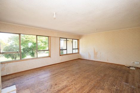 Photo of property in 18 Orchard East Road, Ngatea, 3503