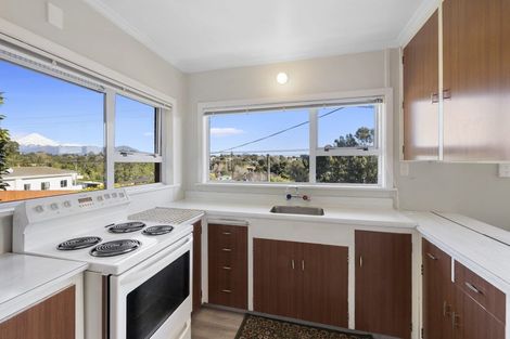 Photo of property in 44 Essex Street, Vogeltown, New Plymouth, 4310