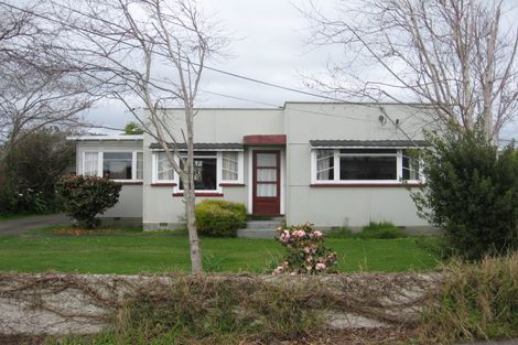 Photo of property in 96 Winchester Street, Levin, 5510