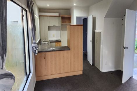 Photo of property in 3/2 Leamington Street, Addington, Christchurch, 8024