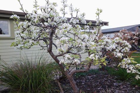 Photo of property in 27a Fearon Street, Motueka, 7120