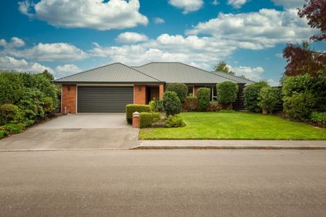 Photo of property in 203 White Street, Rangiora, 7400