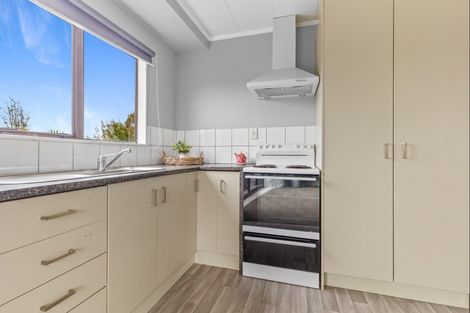 Photo of property in 96a Mako Mako Road, Levin, 5510