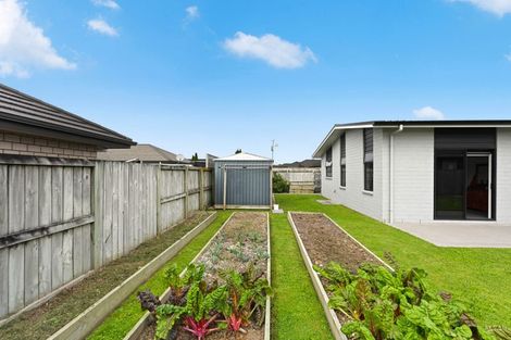 Photo of property in 224 Cumberland Drive, Flagstaff, Hamilton, 3210