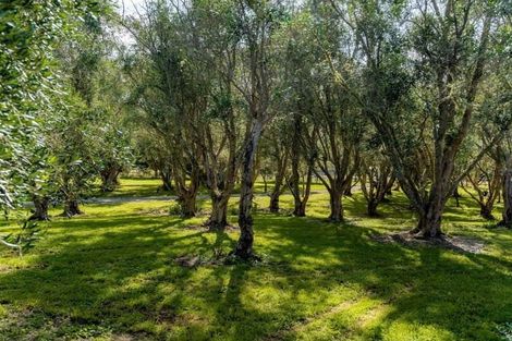 Photo of property in 284 Underhill Road, Tauwharenikau, 5773