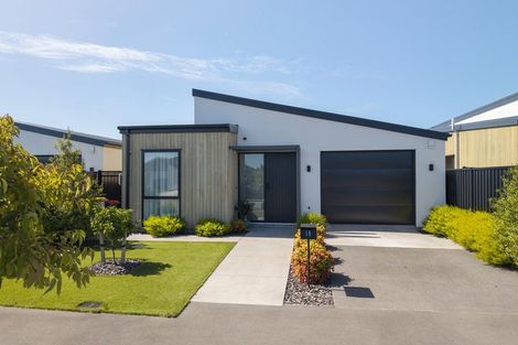 Photo of property in 19 Elsie Street, Halswell, Christchurch, 8025