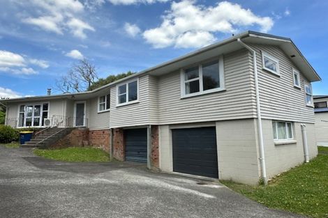 Photo of property in 40 Kingdale Road, Henderson, Auckland, 0610