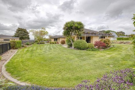 Photo of property in 98 Ash Grove, Te Awamutu, 3800