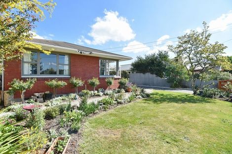 Photo of property in 5 Cardome Street, Bishopdale, Christchurch, 8053