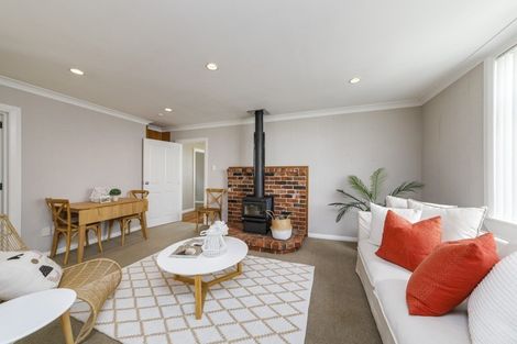 Photo of property in 19 Giesen Road, Feilding, 4702