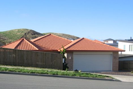 Photo of property in 82 Amesbury Drive, Churton Park, Wellington, 6037