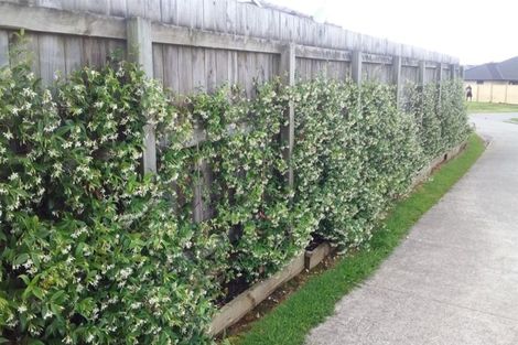 Photo of property in 14 North Crest Drive, Onerahi, Whangarei, 0110