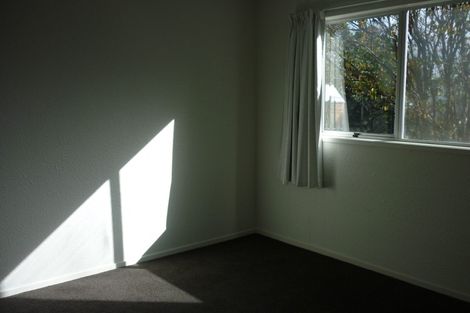 Photo of property in 49b Clarke Street, Gate Pa, Tauranga, 3112