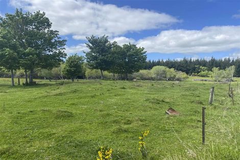 Photo of property in 21 York Street, Ohai, 9635