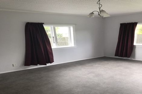 Photo of property in 19 Marshall Street, Fairfield, Hamilton, 3214