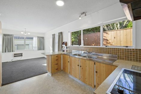 Photo of property in 33c Carrington Street, New Plymouth, 4310