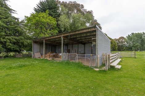 Photo of property in 365 Bluff Rangitumau Road, Rangitumau, Masterton, 5871