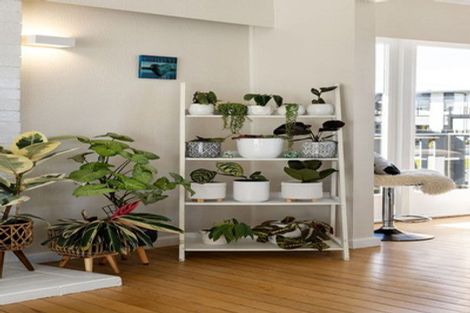 Photo of property in 24 Thompson Street, Leamington, Cambridge, 3432